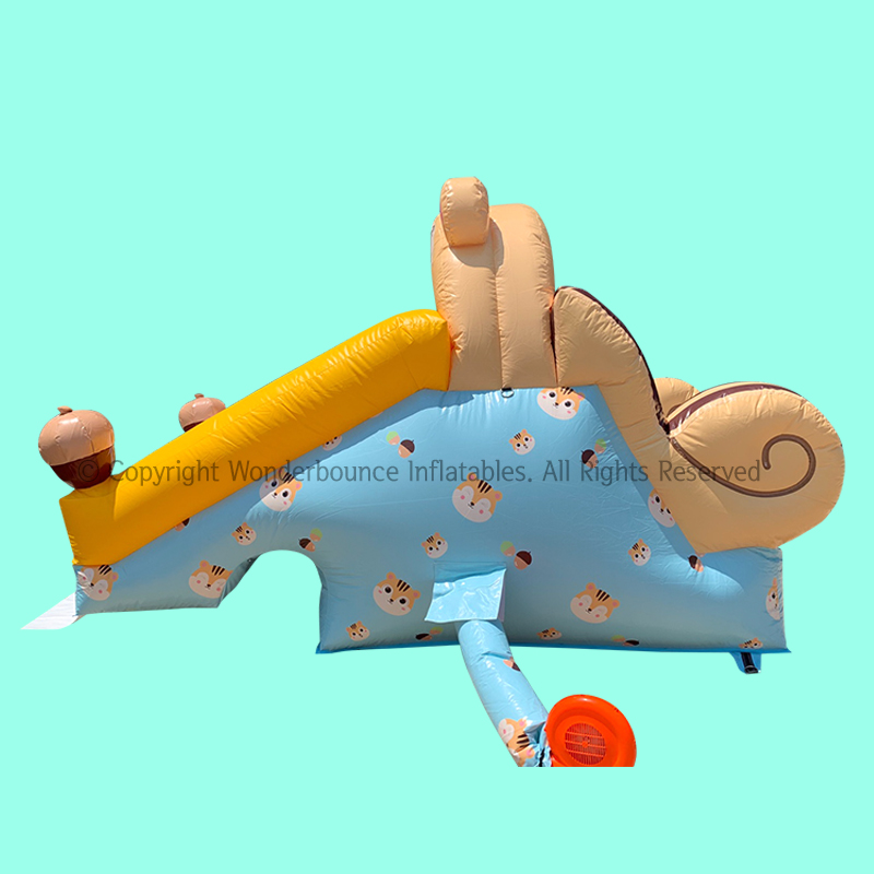 다람쥐 슬라이드
